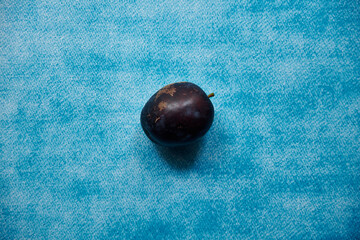 śliwa domowa,  Prunus domestica L