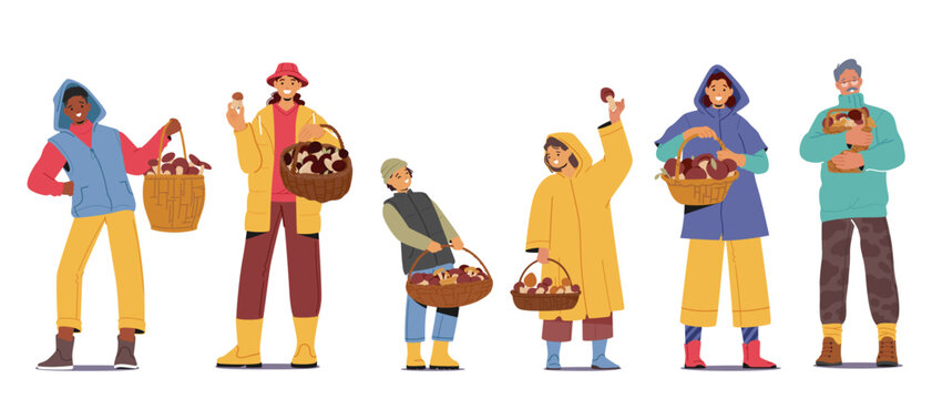 Characters Cheerfully Carry Baskets Filled With Various Mushrooms, Collected From The Woods, Vector Illustration