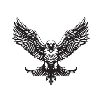 Naklejka Eagle, hawk, falcon emblem with spread wings, heraldic symbol, bird, predator, wild animal, design,