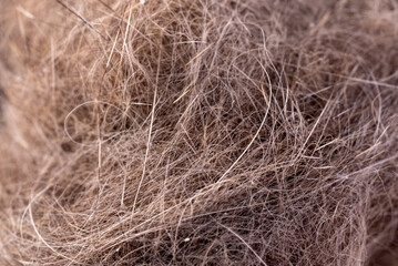 Closeup of cat fur, pet hair, fur