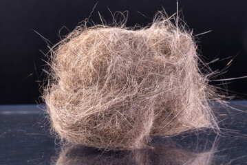Closeup of cat fur, pet hair, fur