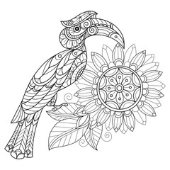 Hornbill and sunflower hand drawn for adult coloring book © kaewta