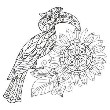 recommend clip art: Hornbill and sunflower hand drawn for adult coloring book