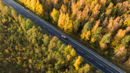 A car drives along a forest autumn road, aerial view