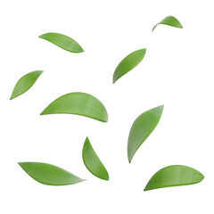 3d rendering fresh leaves falling green color