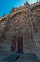 Catedral de Salamanca, portada lateral