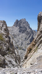 Mountain landscape on a sunny day