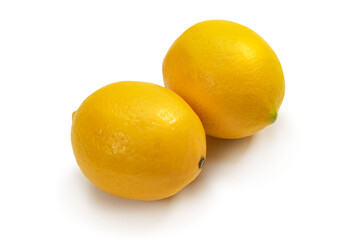 メイヤーレモン、マイヤーレモン