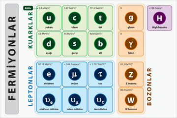 Fizik fermiyon, kuark, lepton, bozon. The standard model of physics. In the physics of elementary particles, bosons of all elementary particles, electromagnetic and strong interaction.