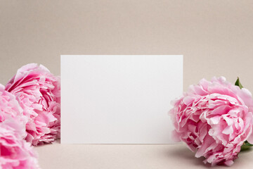 Blank wedding invitation card mockup with pink fresh peony flowers, white card mock up with copy...
