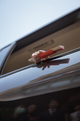 In a Chinese wedding ceremony, the bride sits in the ceremonial car and throws a fan
