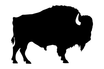 Bison bull standing still, black and white silhouette design, isolated against white background ¥ © Tanja Mikkelsen 