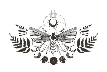 Magic celestial butterfly, fern leaves, plants and moon silhouettes clipart, mystic space moth with crescent, black and white insects in vector, isolated element for t-shirt, poster, postcards © Maria Zamchiy 