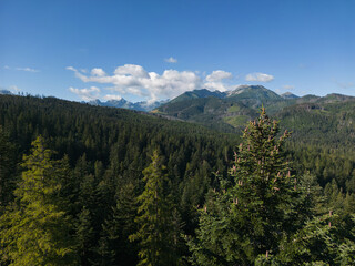 Mountain landscape in the Tatras in summer. Drone view of the mountains in Zakopane in summer.