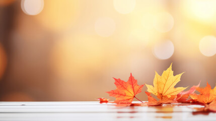 Banner design for autumn season. Fall orange maples on  blurred bokeh background. 