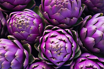 Fototapeta premium Purple Artichokes Closeup On White Background Wallpaper