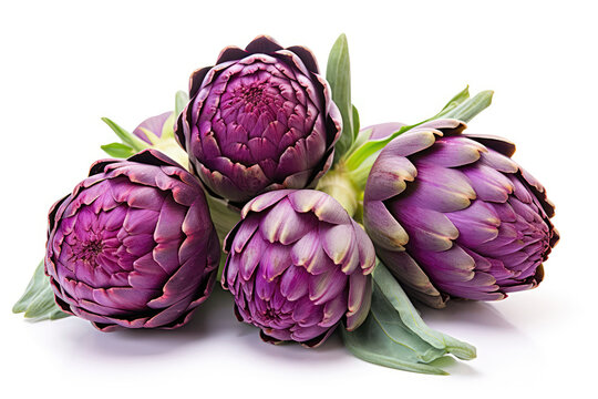 Purple Artichokes Closeup On White Background