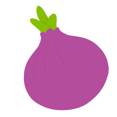 onion isolated on white