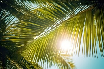 Tropical Sunrays: Palm Paradise