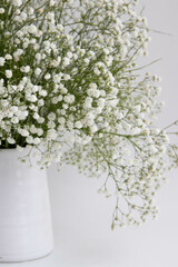 Bouquet of gypsophila flowers in a vase, white background