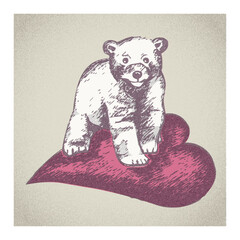 Lovely ice bear hand drawn illustration with grainy effect – animal isolated on background
