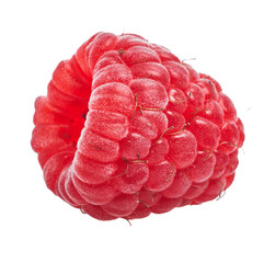  Delicious single raspberry over isolated white background