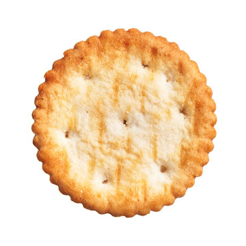  Delicious single salty biscuit over isolated white background