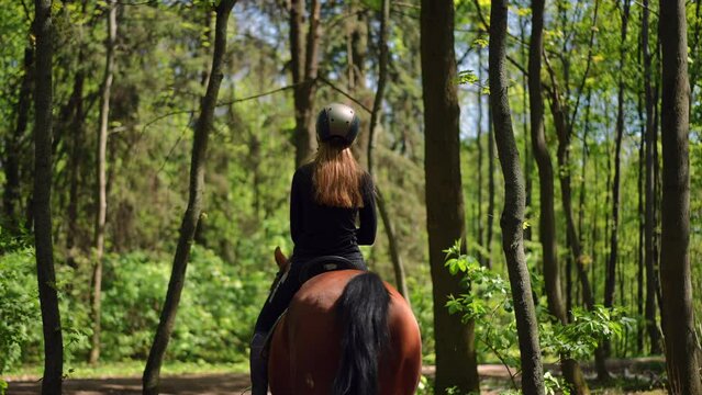 Live camera follows unrecognizable woman riding horse in summer spring forest on sunny day. Back view confident Caucasian young slim equestrian on back of graceful animal walking in sunshine