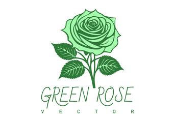 Vector green graphic rose flower with leaves. Floral logo. White isolated background.
