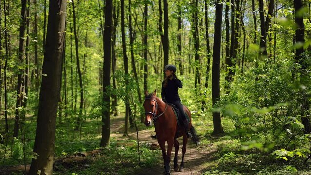 Wide shot green spring summer forest in sunshine with graceful stallion walking with equestrian on back and leaving. Confident purebred horse and Caucasian pretty woman passing in sunshine