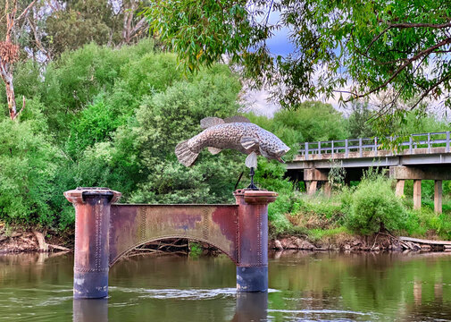 Murray Cod Sculpture at Tintaldra Victoria Australia