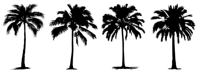 palm trees silhouette illustration set isolated on white, decorative element for poster, banner and background