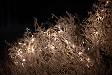 White light  bulb decoration in frosty winter dry grass at night