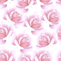 Seamless pattern with pink roses on white background, hand drawn marker illustration in watercolor technique. For wallpapers, wrapping paper, fabric, textile, products packaging, polygraphy covers etc