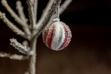 Christmas decoration in frost covered spurce tree branch on a dark background