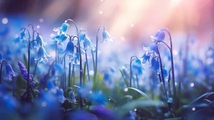 Schilderijen op glas Photo of a field of vibrant blue flowers in a lush green grassy landscape © mattegg