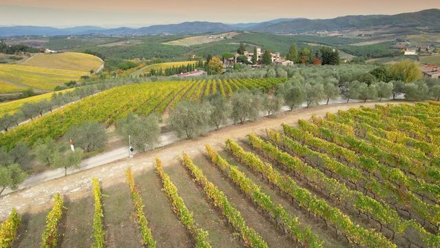 Splendid vineyards in the heart of Chianti Classico, between Florence and Siena turn yellow in autumn season. Aerial view of yellow vineyards in Chianti area near San Casciano in Val di Pesa. Italy