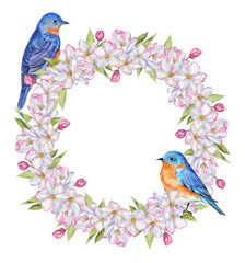 Watercolor wreath with hand-painted apple tree flowers and leaves, and bluebirds on a transparent background. Pre-made flower wreath for printing design.