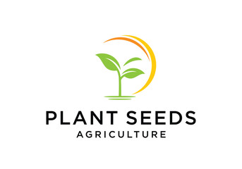 Fototapeta premium Organic plant seed logo design template