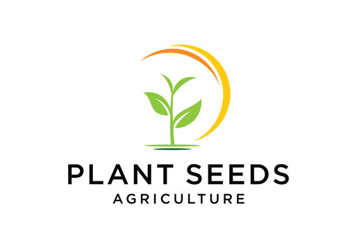 Organic plant seed logo design template