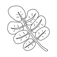 garden plant element, hand drawn style