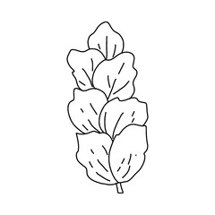 Obraz premium garden plant element, hand drawn style