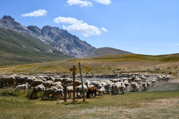 Malowniczy krajobraz Abruzzo. Gran Sasso e Monti della Laga National Park. Abruzzo. Italia. - obrazy, fototapety, plakaty