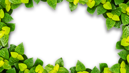 frame made of green leaves, suitable for design 
