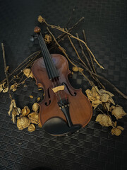 Violin and bow put beside dried roses on black grunge surface background,