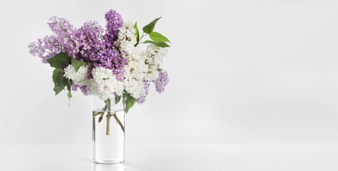 Glass vase with beautiful fragrant lilac flowers on white background, banner design