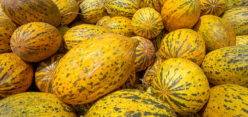 Summer tray market agriculture farm full of organic fruits. Healthy eating. Izmir / Turkey