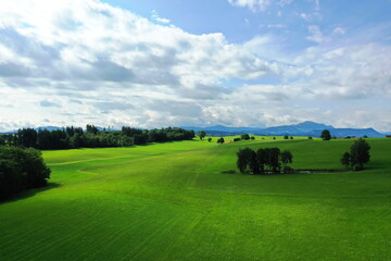 Naklejka premium Baumgruppe im Alpenvorland bei Kempten mit Blick auf die Allgäuer Alpen. Sankt Mang, Kempten, Bayern, Deutschland.