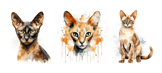breed oriental cat watercolor