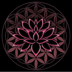 Lotus Lotusblume Lotusblüte mit Blume des Lebens für Yoga und Meditation. Vektor Design für Spiritualität und Buddhismus. - obrazy, fototapety, plakaty